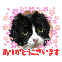 ABCDEFG_20210803223351