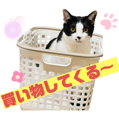 hana_20210804000741