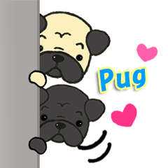 Friendly Pug sticker