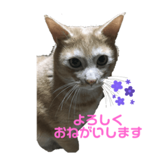 rei_20210804105229