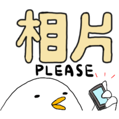 Hello 你好嗎？這裡有好多鴨鴨們！！