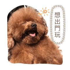 搞怪Kiki