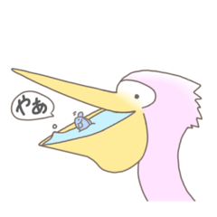 momoiro pelican