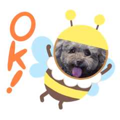 Q寶&哥哥的表情包