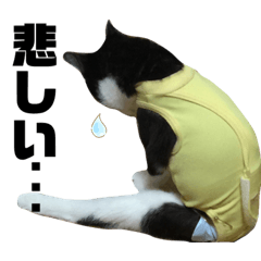 asuka_20210804125810