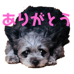 Hikari_20210804091630