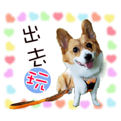 可愛狗狗 滿滿的愛