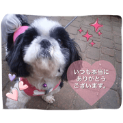 totolalafamilySticker