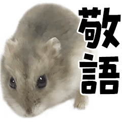 Jungarian hamster.2