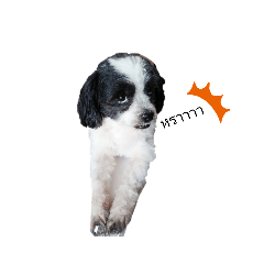 smile_20210804114715