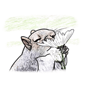 Kiss flowers squirrel