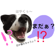 sasuke.love2 sasuke.love2