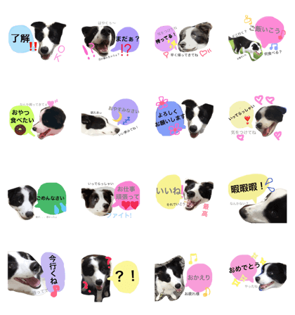 sasuke.love2 sasuke.love2