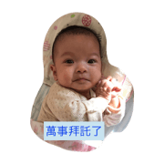 cutie sunflower cutie sunflower