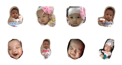 cutie sunflower cutie sunflower