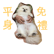 My family dog, Yakult. My family dog, Yakult.