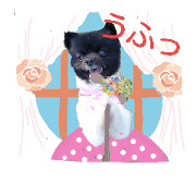 koharupome2 koharupome2