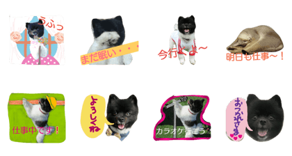 koharupome2 koharupome2