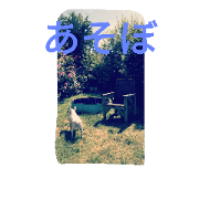 french bulldog boudi and pertwee french bulldog boudi and pertwee