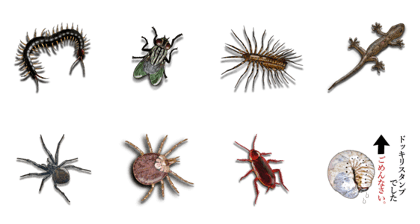 PRANK STICKER No.1 PRANK STICKER No.1