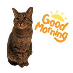 nozomi_20210804151858