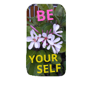 Love Flower 22 Love Flower 22