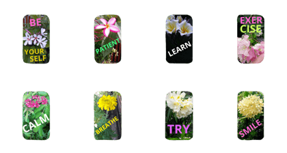 Love Flower 22 Love Flower 22