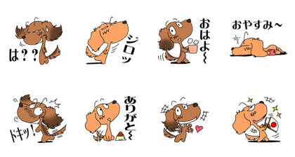 Mel and Juni of Dachshund Mel and Juni of Dachshund