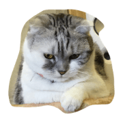 yuan yuan bao bao yuan yuan bao bao