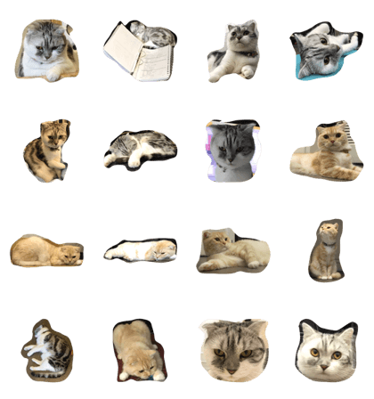 yuan yuan bao bao yuan yuan bao bao