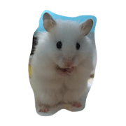 choumou?hamuchann choumou?hamuchann