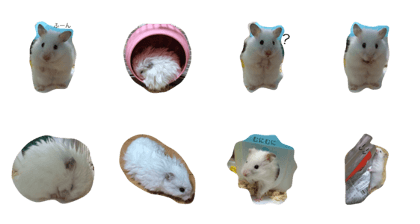 choumou?hamuchann choumou?hamuchann