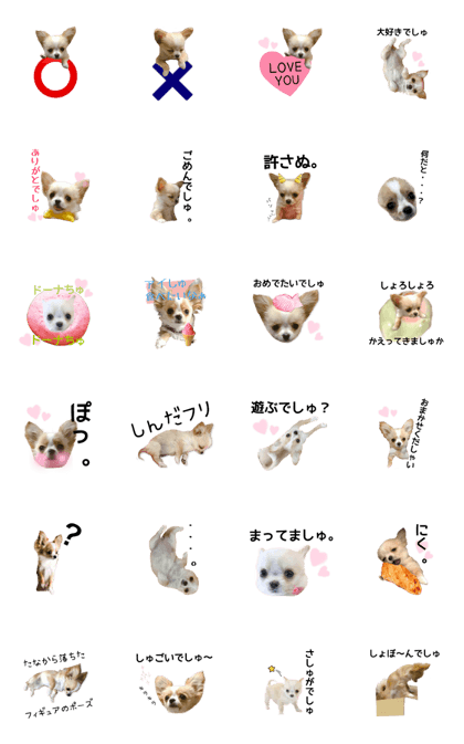 Chihuahua's latte too pretty stamp 2 Chihuahua's latte too pretty stamp 2