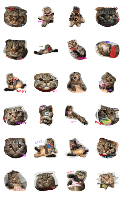 Betsy Best! Betsy Best!