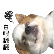 CaseyZhou2 CaseyZhou2