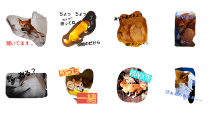 lovely conayuki lovely conayuki