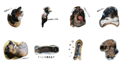 marron's day marron's day