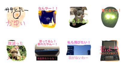 local language in KANSI