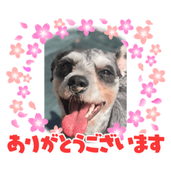 mimi_20210804163825
