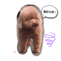 Kiki寶寶！