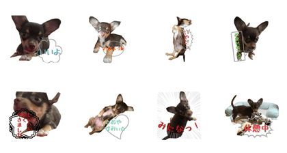 Reo's Daily greetings