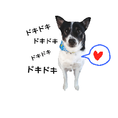 usigara dog mow stamp part3
