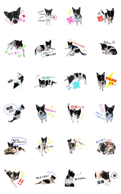 usigara dog mow stamp part3 usigara dog mow stamp part3