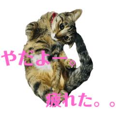hana_20210804195330