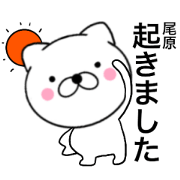 Name cat Obara Name cat Obara