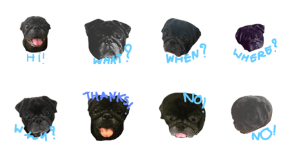 Nusuktheblackpug1