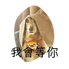 冬ㄟ怕爆