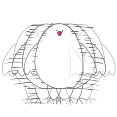 White Java sparrow "paru"