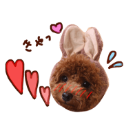 Ao's diary 2 Ao's diary 2