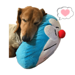 arisa_20210804170951